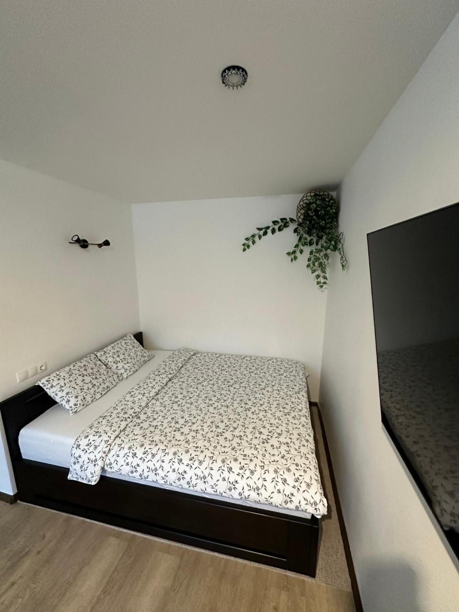 Studio Apartment Valmiera Extérieur photo